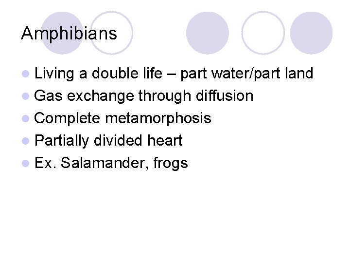 Amphibians l Living a double life – part water/part land l Gas exchange through