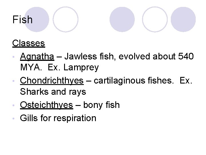 Fish Classes • Agnatha – Jawless fish, evolved about 540 MYA. Ex. Lamprey •