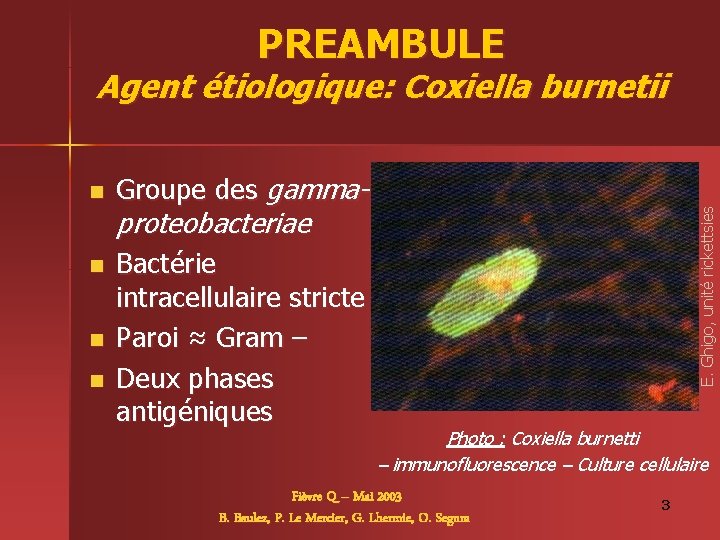 PREAMBULE Agent étiologique: Coxiella burnetii n n n Groupe des gamma- proteobacteriae Bactérie intracellulaire