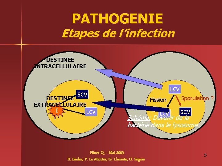 PATHOGENIE Etapes de l’infection DESTINEE INTRACELLULAIRE SCV DESTINEE EXTRACELLULAIRE I LCV Fission LCV Sporulation