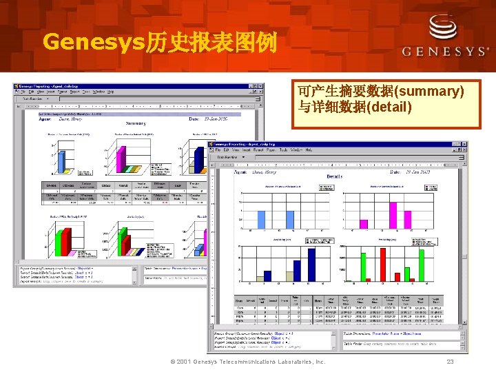 Genesys历史报表图例 可产生摘要数据(summary) 与详细数据(detail) © 2001 Genesys Telecommunications Laboratories, Inc. 23 