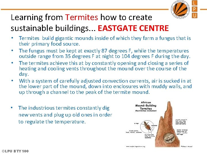 Learning from Termites how to create sustainable buildings. . . EASTGATE CENTRE • Termites