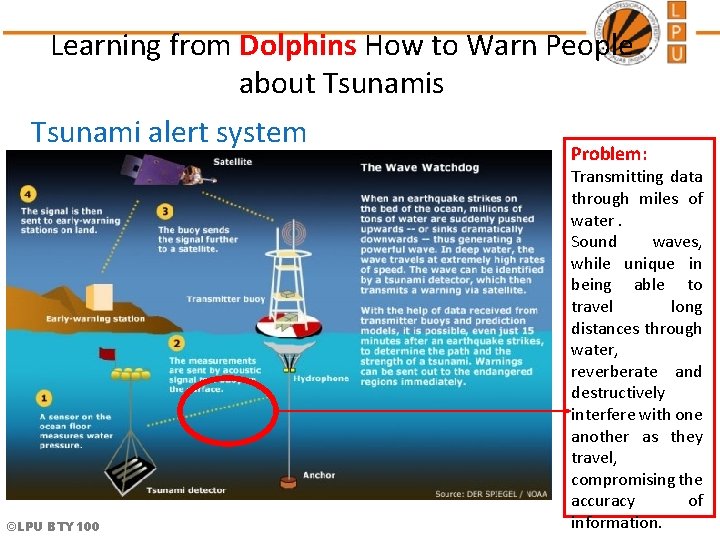 Learning from Dolphins How to Warn People about Tsunamis Tsunami alert system ©LPU BTY