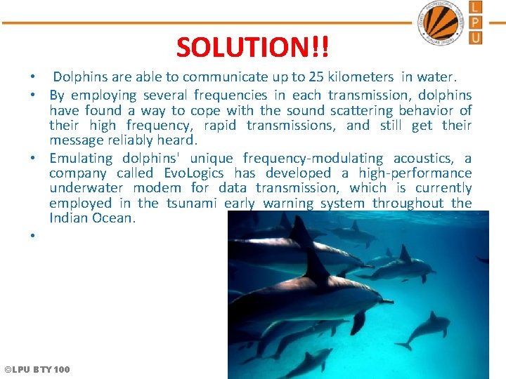 SOLUTION!! • Dolphins are able to communicate up to 25 kilometers in water. •