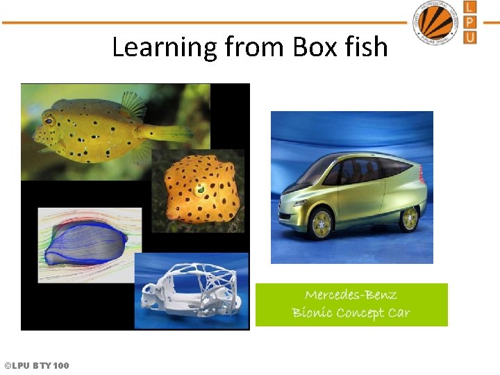 Learning from Box fish ©LPU BTY 100 