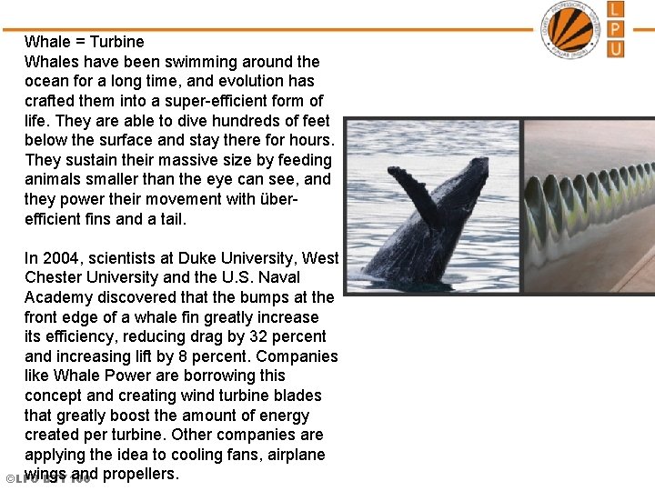 Whale = Turbine Whales have been swimming around the ocean for a long time,