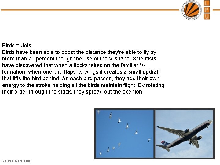 Birds = Jets Birds have been able to boost the distance they're able to