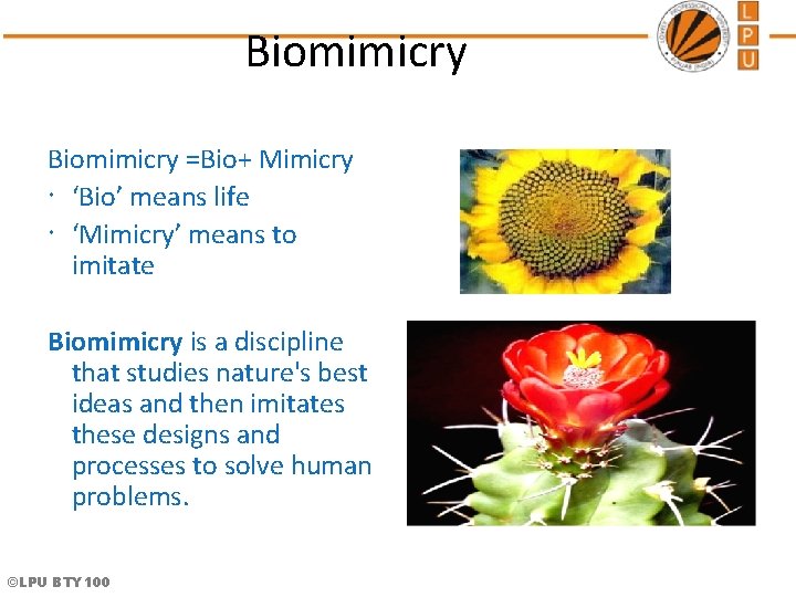 Biomimicry =Bio+ Mimicry ‘Bio’ means life ‘Mimicry’ means to imitate Biomimicry is a discipline