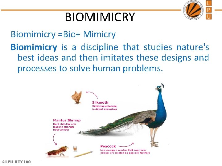 BIOMIMICRY Biomimicry =Bio+ Mimicry Biomimicry is a discipline that studies nature's best ideas and