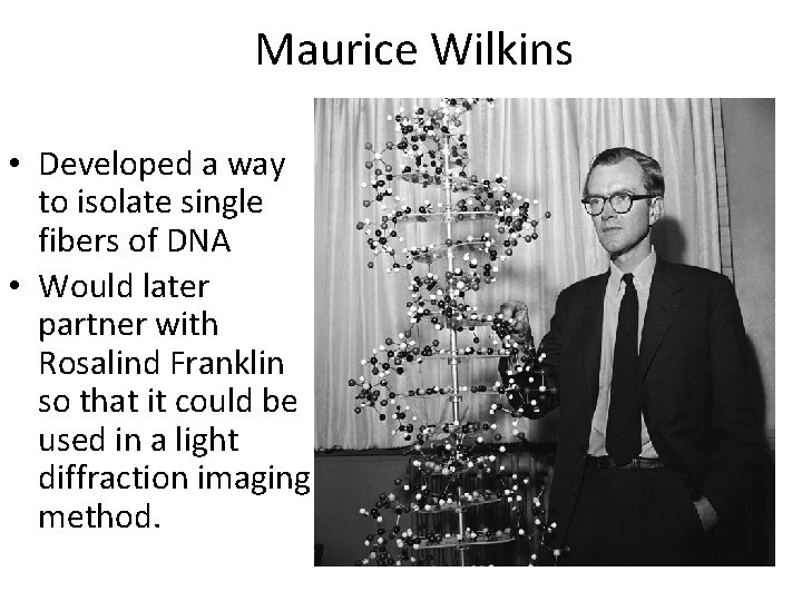 Maurice Wilkins • Developed a way to isolate single fibers of DNA • Would