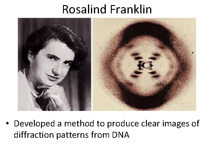 Rosalind Franklin • Developed a method to produce clear images of diffraction patterns from
