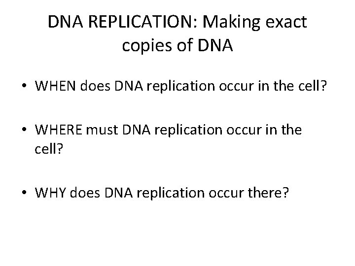 DNA REPLICATION: Making exact copies of DNA • WHEN does DNA replication occur in