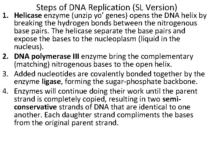Steps of DNA Replication (SL Version) 1. Helicase enzyme (unzip yo’ genes) opens the