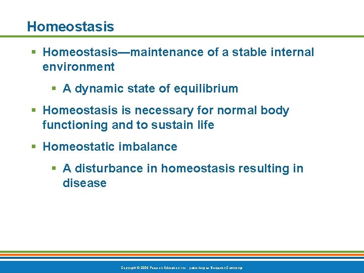 Homeostasis § Homeostasis—maintenance of a stable internal environment § A dynamic state of equilibrium