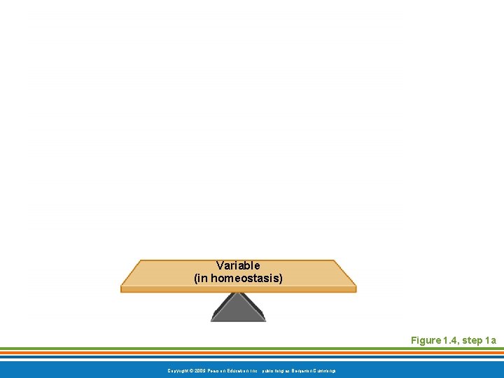 Variable (in homeostasis) Figure 1. 4, step 1 a Copyright © 2009 Pearson Education,