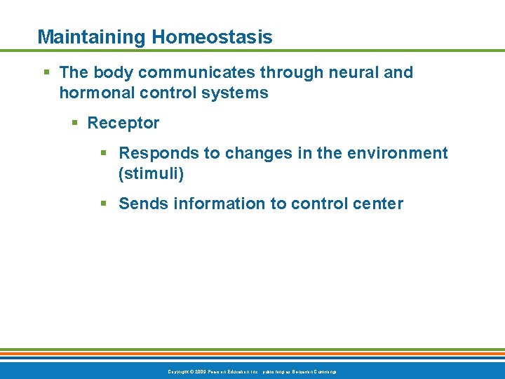 Maintaining Homeostasis § The body communicates through neural and hormonal control systems § Receptor