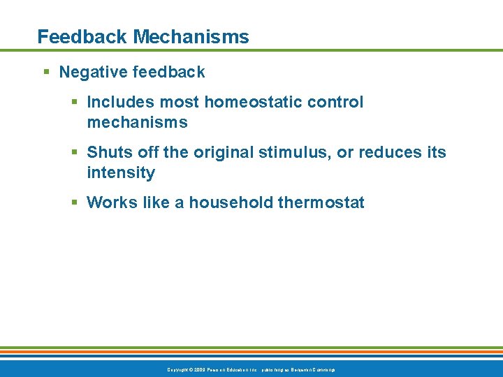 Feedback Mechanisms § Negative feedback § Includes most homeostatic control mechanisms § Shuts off