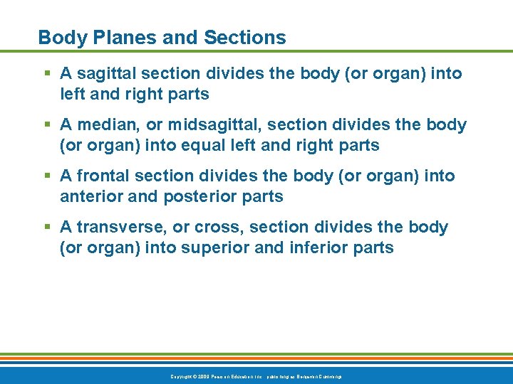 Body Planes and Sections § A sagittal section divides the body (or organ) into
