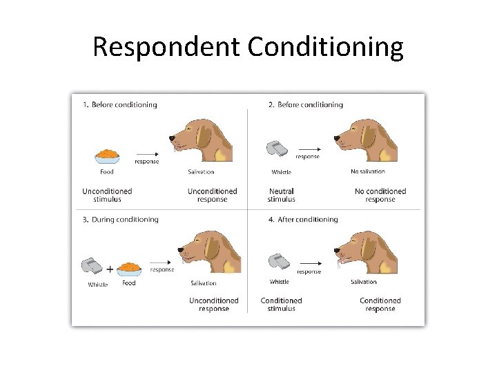 Respondent Conditioning 