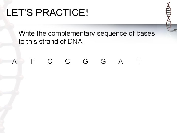 LET’S PRACTICE! Write the complementary sequence of bases to this strand of DNA. A