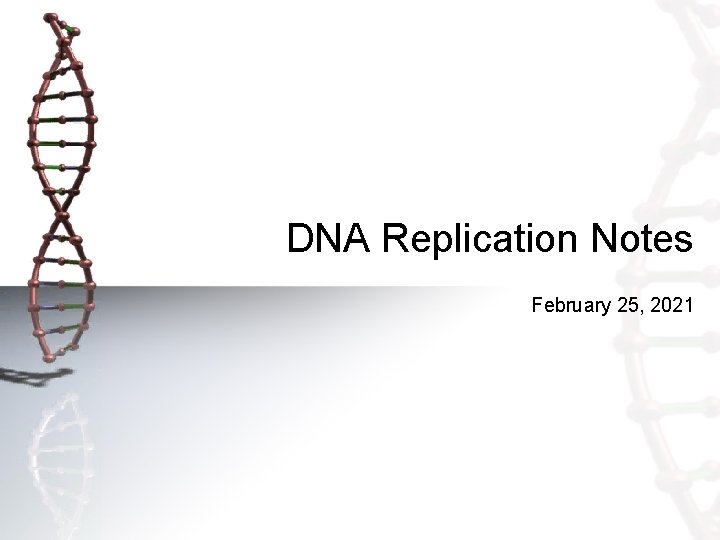 DNA Replication Notes February 25, 2021 