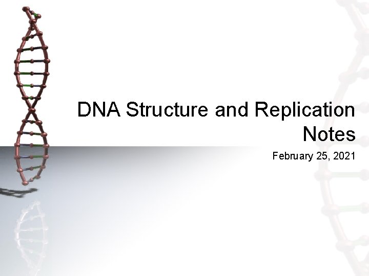 DNA Structure and Replication Notes February 25, 2021 