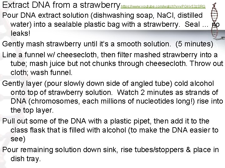 Extract DNA from a strawberryhttps: //www. youtube. com/watch? v=v. PGKv 53 z. SRQ Pour