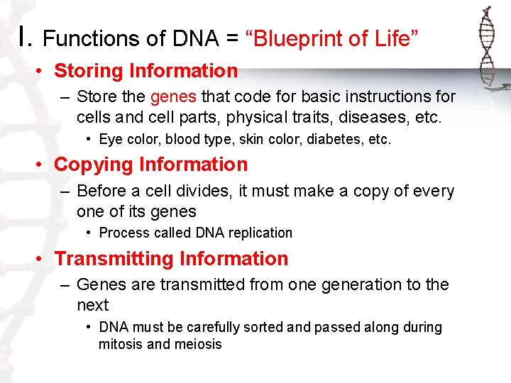 I. Functions of DNA = “Blueprint of Life” • Storing Information – Store the