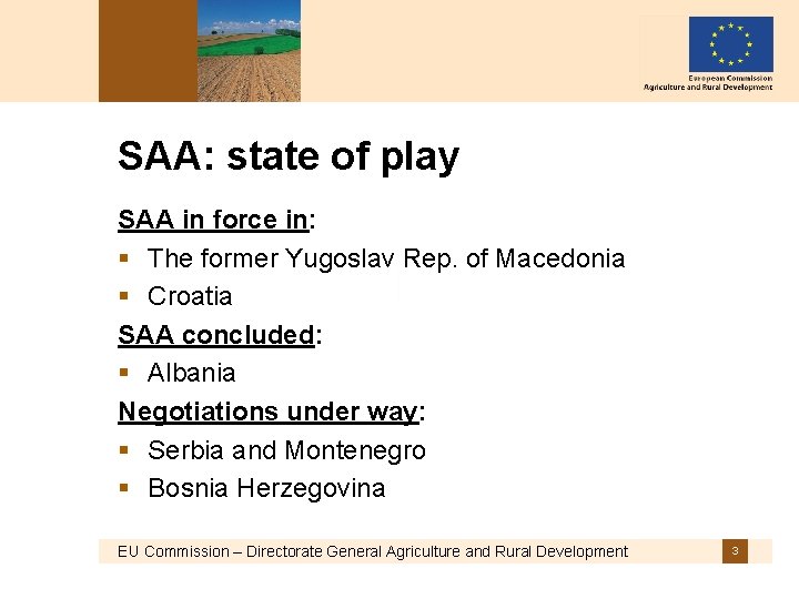SAA: state of play SAA in force in: § The former Yugoslav Rep. of