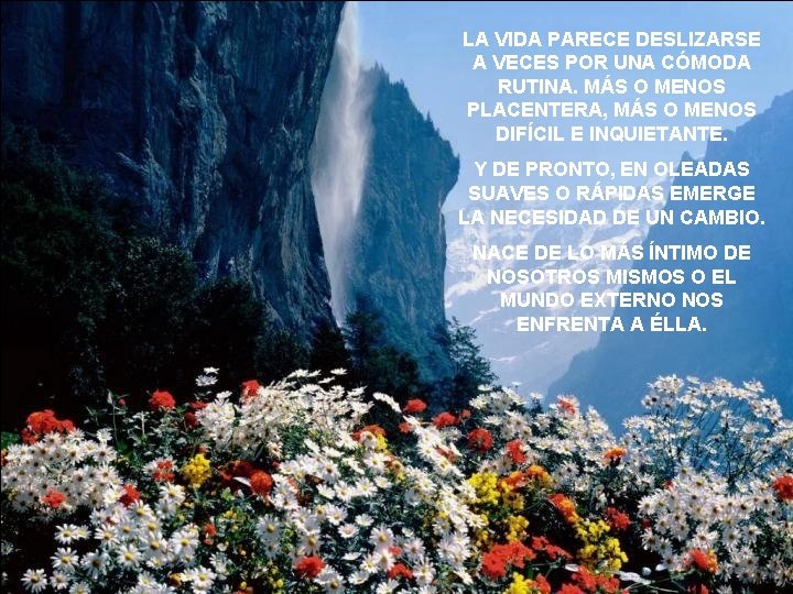 LA VIDA PARECE DESLIZARSE A VECES POR UNA CÓMODA RUTINA. MÁS O MENOS PLACENTERA,