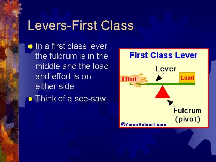 Levers-First Class ® In a first class lever the fulcrum is in the middle Levers-First Class ® In a first class lever the fulcrum is in the middle
