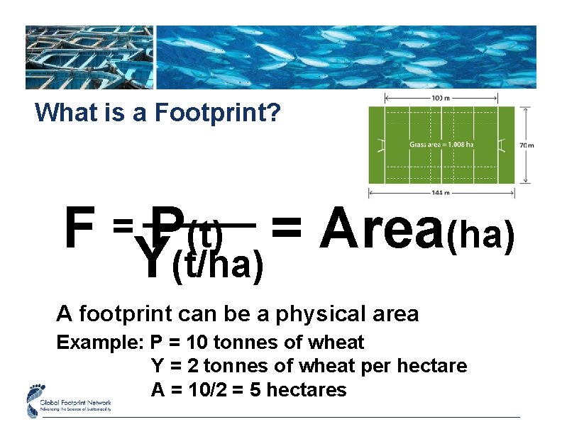 What is a Footprint? F = P(t) = Area(ha) Y(t/ha) A footprint can be
