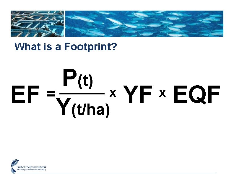 What is a Footprint? P(t) x x = EF YF EQF Y(t/ha) 