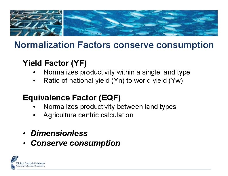 Normalization Factors conserve consumption Yield Factor (YF) • • Normalizes productivity within a single