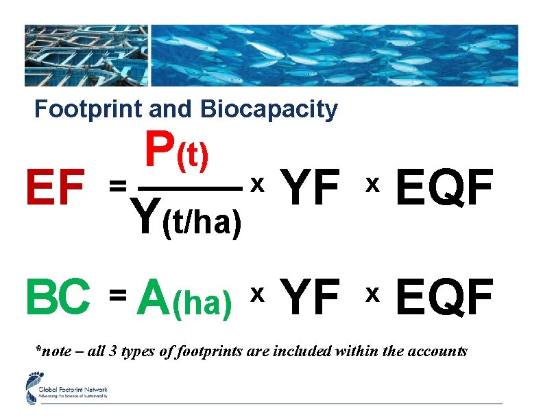 Footprint and Biocapacity P(t) x = EF YF Y(t/ha) x EQF = A(ha) x