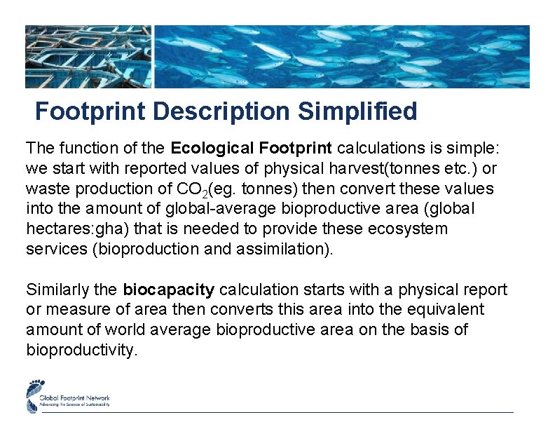 Footprint Description Simplified The function of the Ecological Footprint calculations is simple: we start