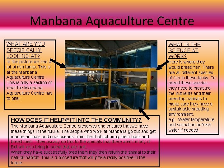 Manbana Aquaculture Centre WHAT ARE YOU SPECIFICALLY LOOKING AT? WHAT IS THE SCIENCE AT
