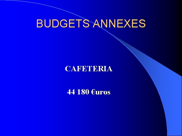 BUDGETS ANNEXES CAFETERIA 44 180 €uros 