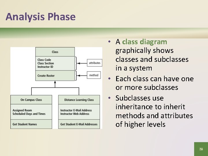 Analysis Phase • A class diagram graphically shows classes and subclasses in a system