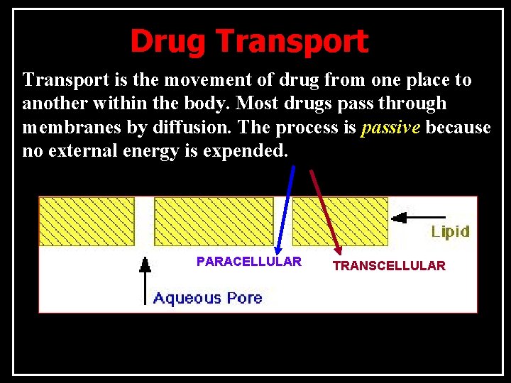 Drug Transport is the movement of drug from one place to another within the