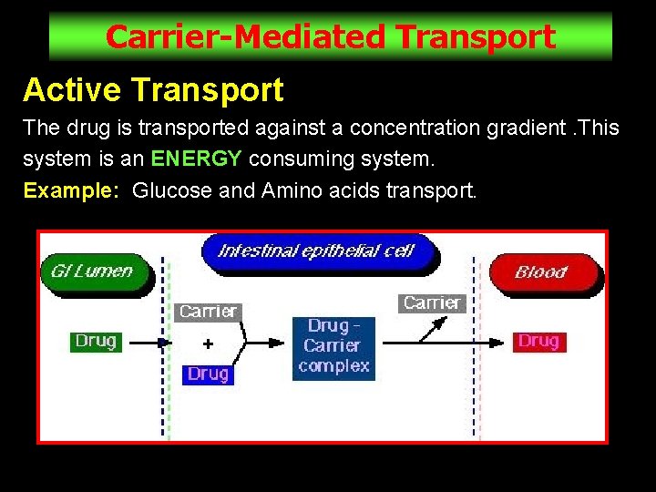Carrier-Mediated Transport Active Transport The drug is transported against a concentration gradient. This system