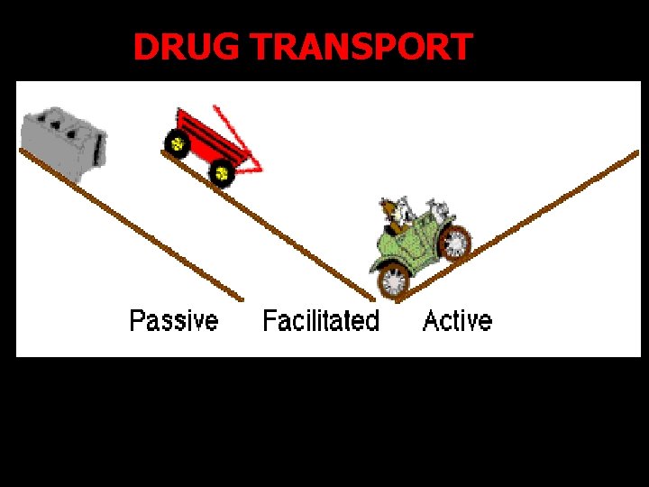 DRUG TRANSPORT 18 