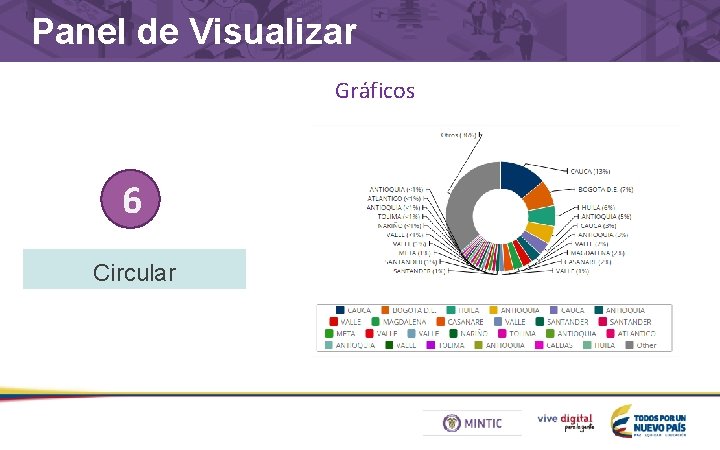 Panel de Visualizar Gráficos 6 Circular 