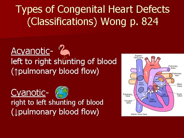 Types of Congenital Heart Defects (Classifications) Wong p. 824 Acyanotic- left to right shunting