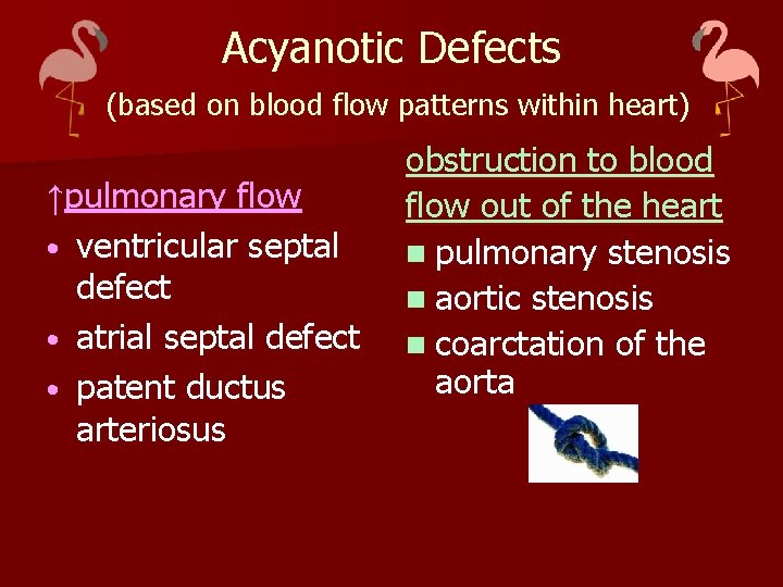 Acyanotic Defects (based on blood flow patterns within heart) obstruction to blood ↑pulmonary flow