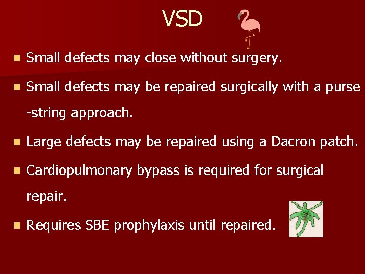 VSD n Small defects may close without surgery. n Small defects may be repaired