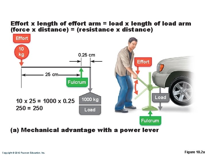 Effort x length of effort arm = load x length of load arm (force
