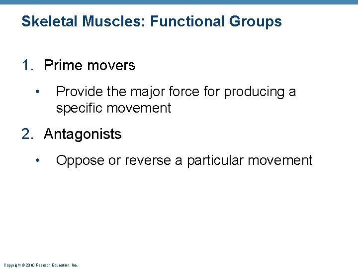 Skeletal Muscles: Functional Groups 1. Prime movers • Provide the major force for producing