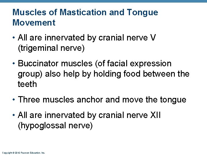 Muscles of Mastication and Tongue Movement • All are innervated by cranial nerve V