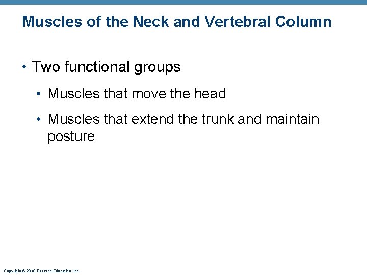 Muscles of the Neck and Vertebral Column • Two functional groups • Muscles that